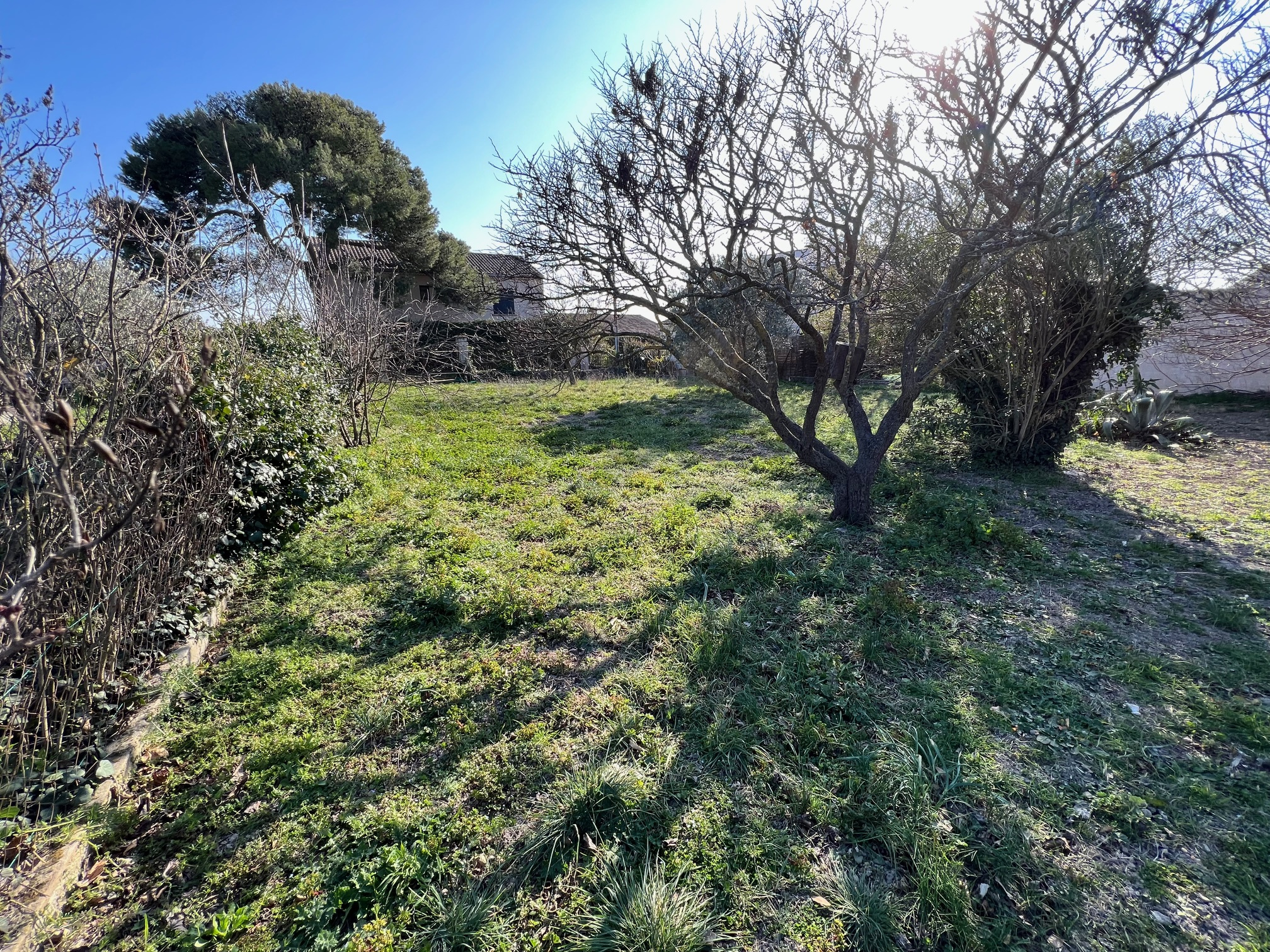 VEDENE TERRAIN CONSTRUCTIBLE